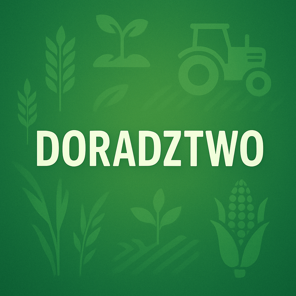 doradztwo